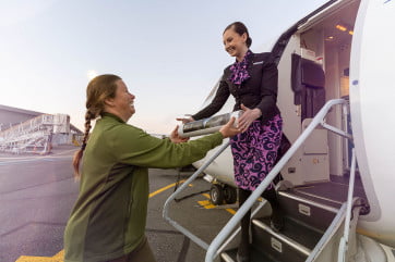 Air New Zealand Tuatara Translocation 1200 x 800