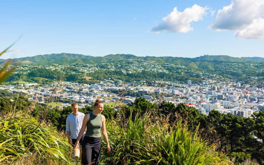Hiking at Mount Victoria to see the views of Wellington, New Zealand