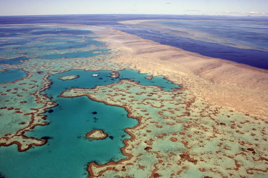 Great Barrier Reef, Queensland, AU. 
