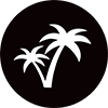 Air New Zealand palm trees icon.